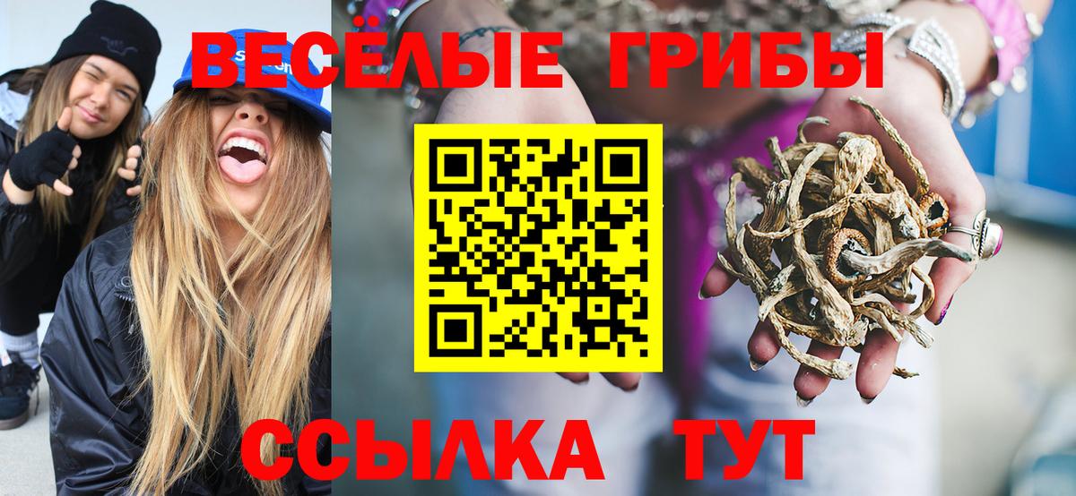 Галлюциногенные грибы мицелий Зеленодольск
